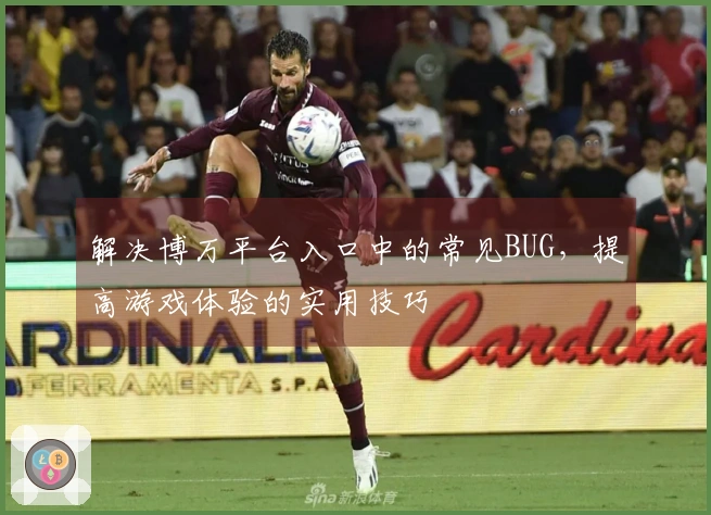 解决博万平台入口中的常见BUG，提高游戏体验的实用技巧