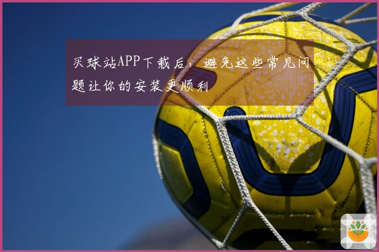 买球站APP下载后，避免这些常见问题让你的安装更顺利